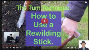 video use a rewilding stick
